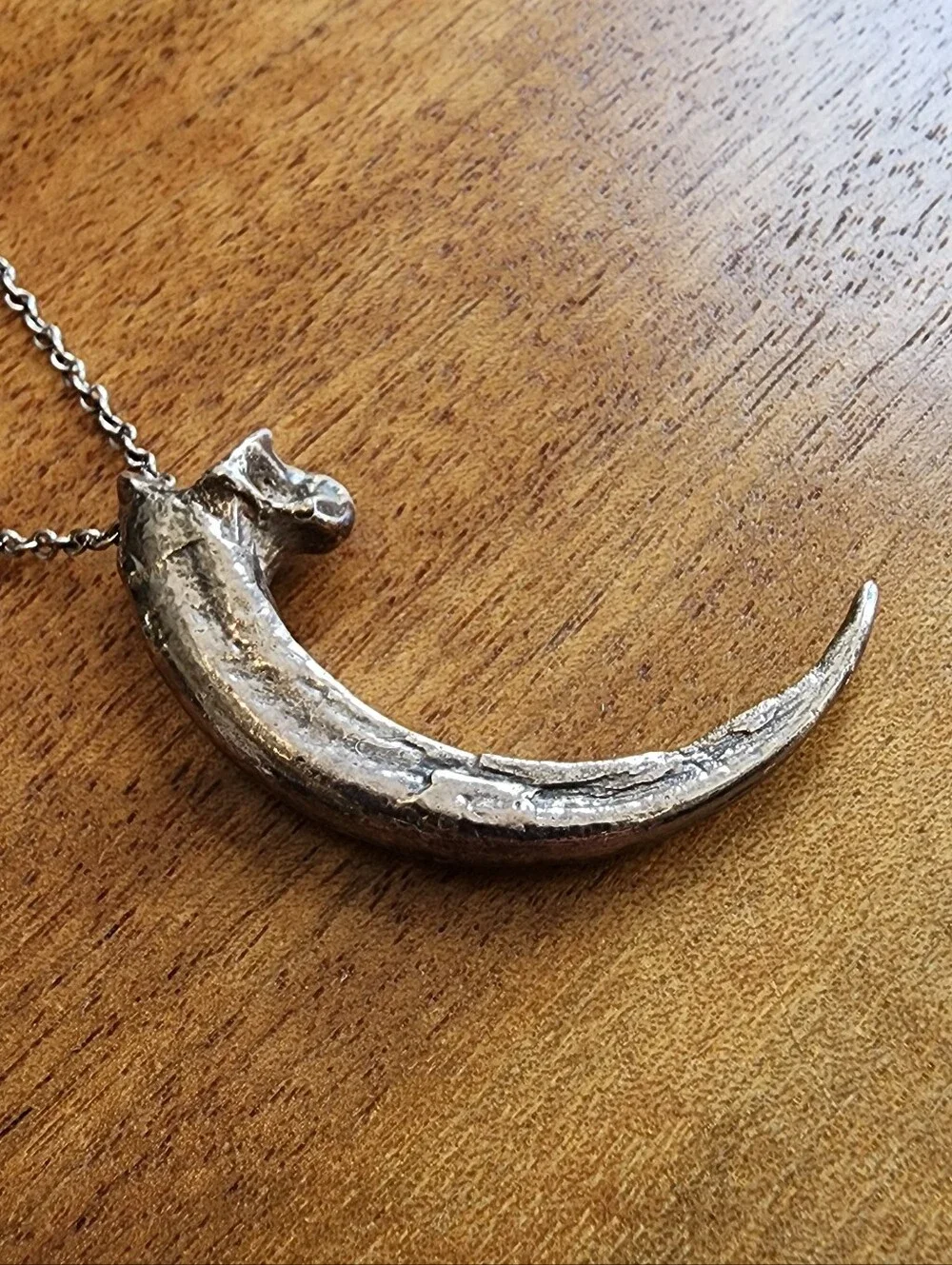 Pamela Love Rare Silver Eagle Talon Necklace - Picture 3 of 8